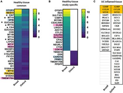 Ulcerative Colitis: Novel Epithelial Insights Provided by Single Cell RNA Sequencing